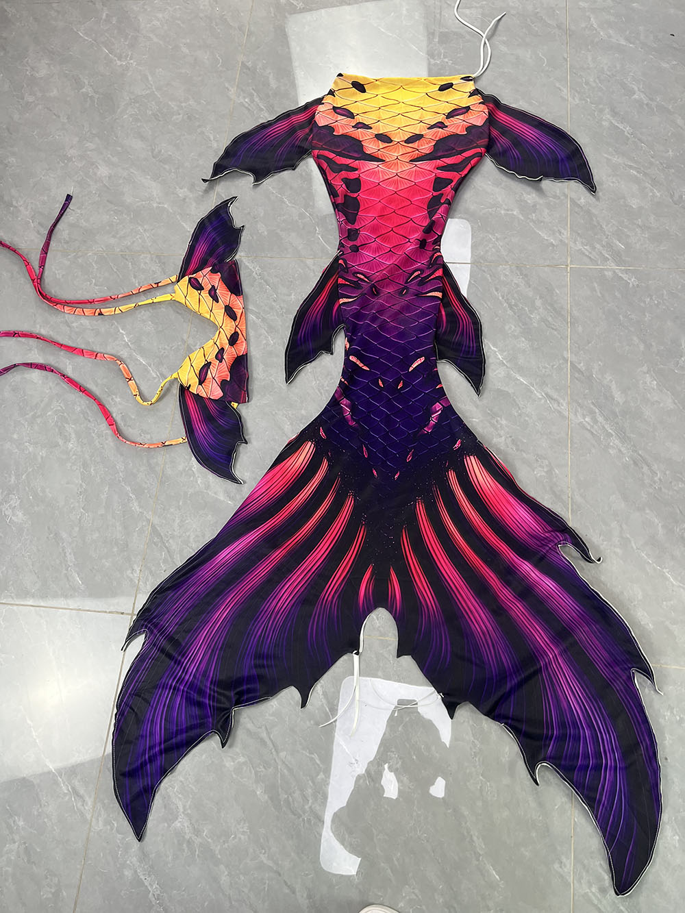 Aquarium & Marine Museum Universiti Malaysia Sabah Kota Kinabalu Sabah Photos - Original Color Mermaid Tail Mermaid Fish
