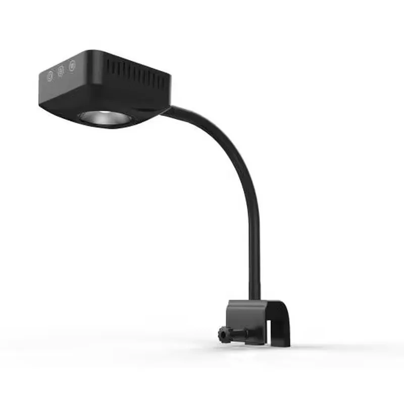 Aquarium Marine Color - Luxury Marine Aquarium Decorated Accessories LED