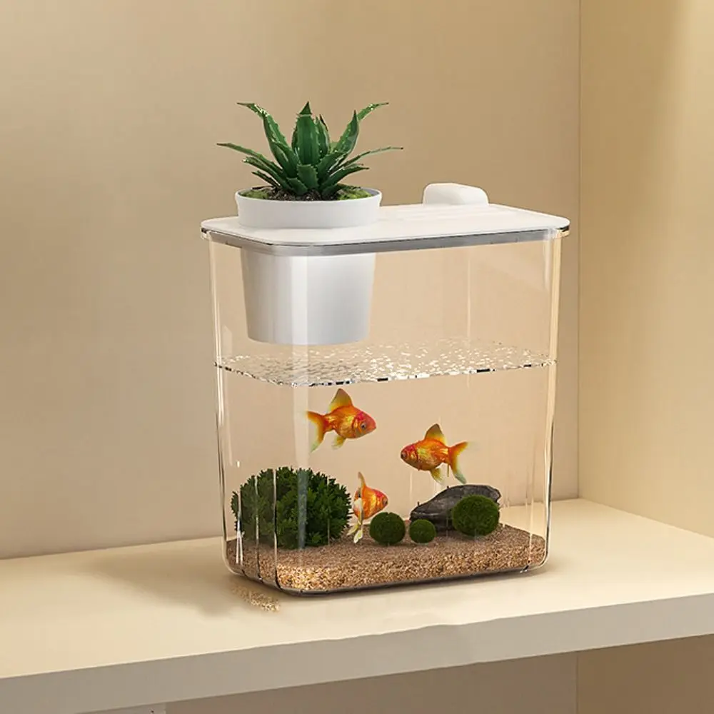 Aquarium Desktop Fish Tank Wat - Marine Aquarium With Sump ulasan dan harga
