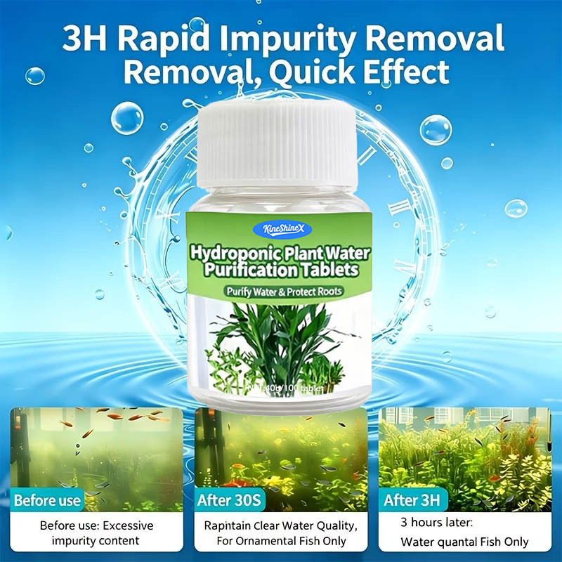 Hydroponic Water Purification  - Aquarium Marine Plants ulasan dan harga