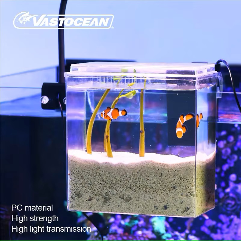 VASTOCEAN Fish Tank External F - Marine Aquarium Overflow ulasan dan harga