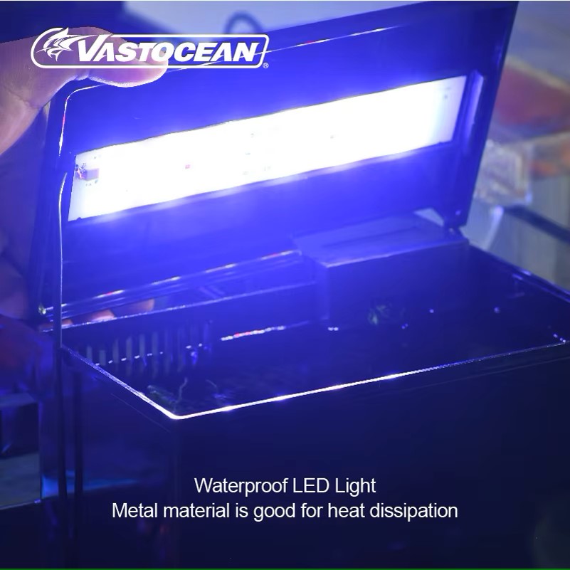 VASTOCEAN Fish Tank External F - Marine Aquarium Overflow ulasan dan harga