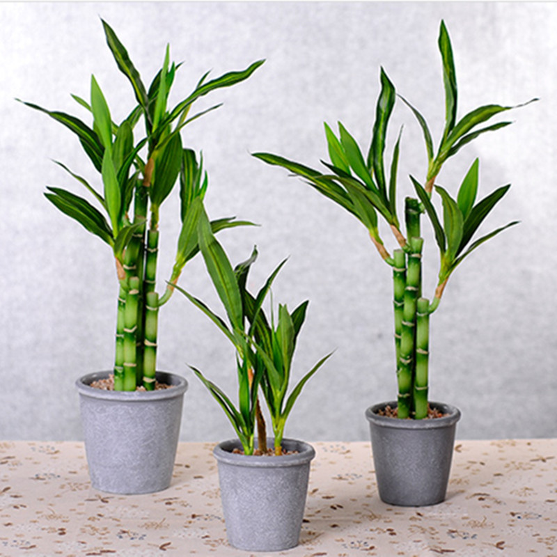 New 40cm rFtificial Lucky Bamb - Aquarium Marine Plants ulasan dan harga