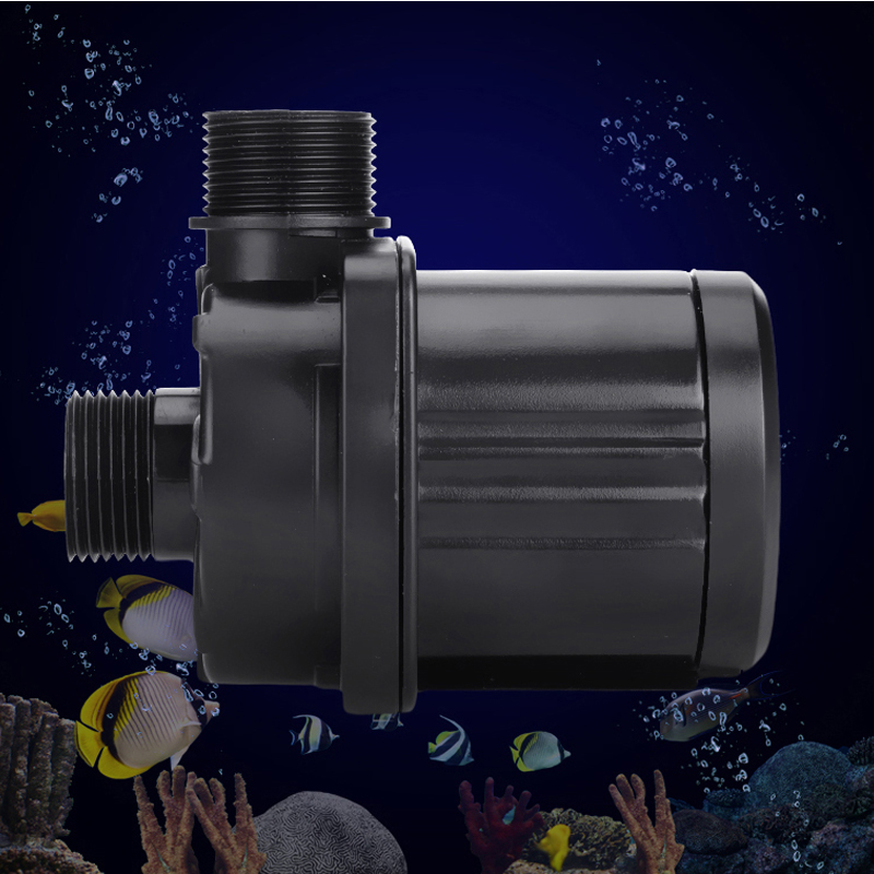 110-240V Red Starfish Aquarium - Marine Aquarium With Sump ulasan dan harga