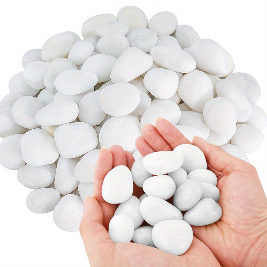 200/400g White High Polished N - Aquarium Marine Plants ulasan dan harga