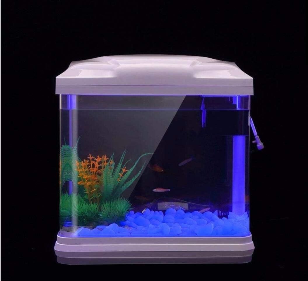 Fish Tank Rocks Glow Blue Pebb - Aquarium Marine Plants ulasan dan harga