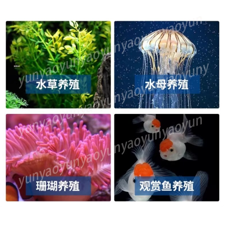 Small Aquarium Chiller Compres - Marine Aquarium Chiller ulasan dan harga