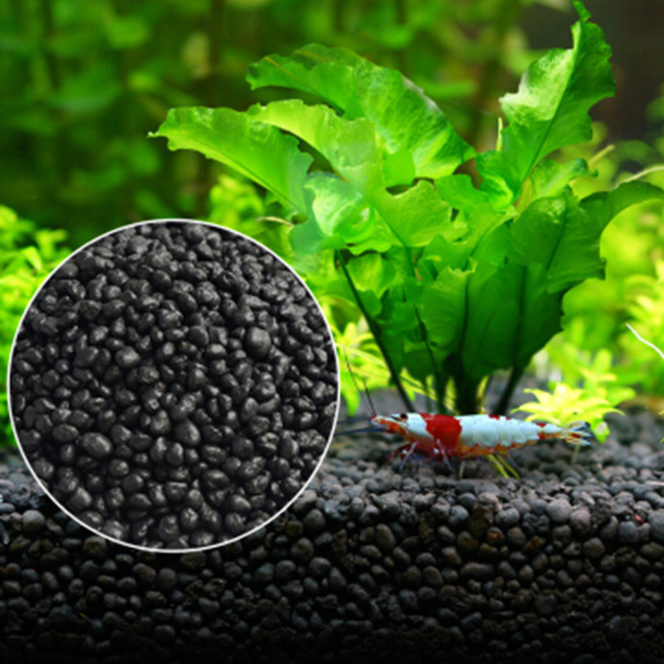 Aquarium Plant Seeds Soil Fish - Aquarium Marine Plants ulasan dan harga