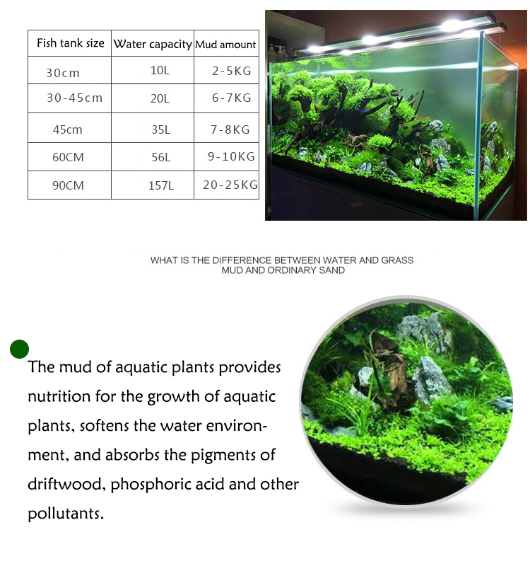Aquarium Plant Seeds Soil Fish - Aquarium Marine Plants ulasan dan harga