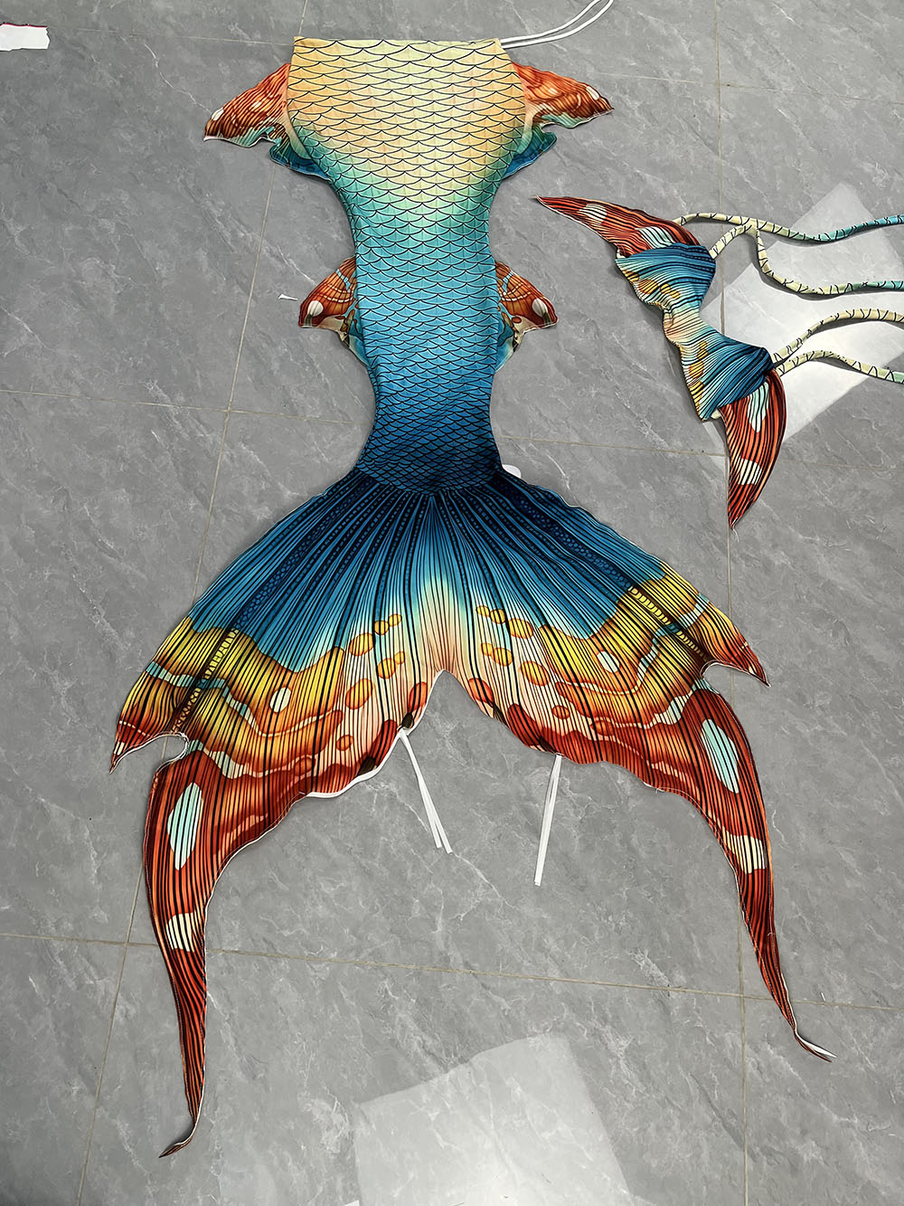 New Pattern Mermaid Tail Merma - Aquarium & Marine Museum Universiti Malaysia Sabah Kota Kinabalu Sabah Photos ulasan dan harga