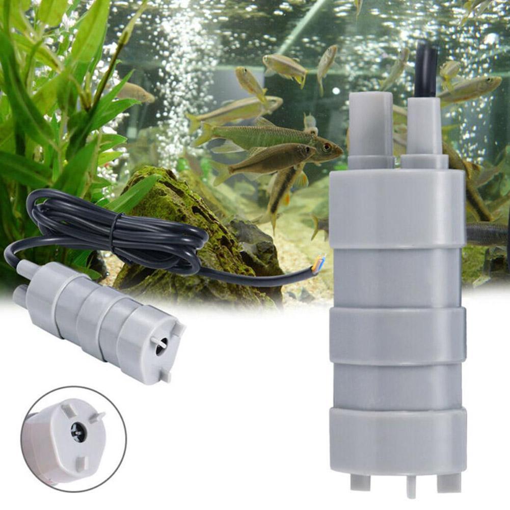 RV 12V Submersible Pump, 1000L - Aquarium & Marine Museum Universiti Malaysia Sabah Kota Kinabalu Sabah Photos ulasan dan harga