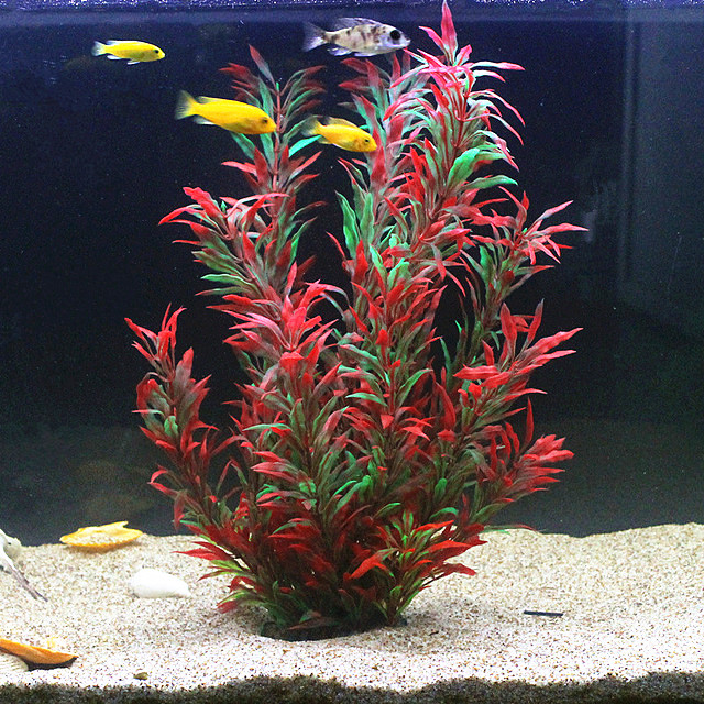 50CM Artificial Fish Tank Rare - Aquarium Marine Plants ulasan dan harga