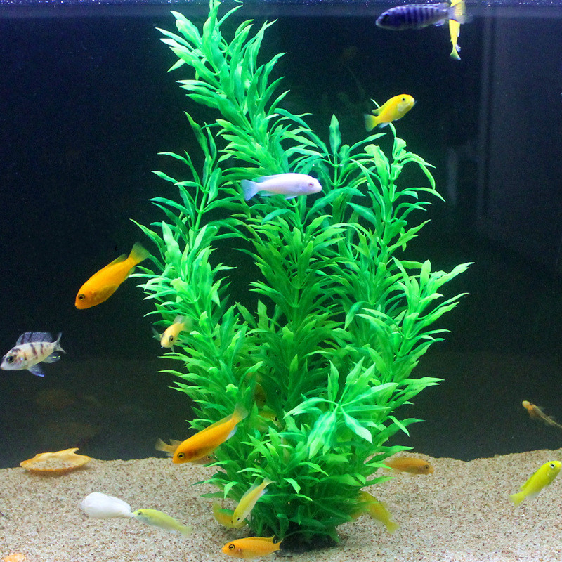 50CM Artificial Fish Tank Rare - Aquarium Marine Plants ulasan dan harga