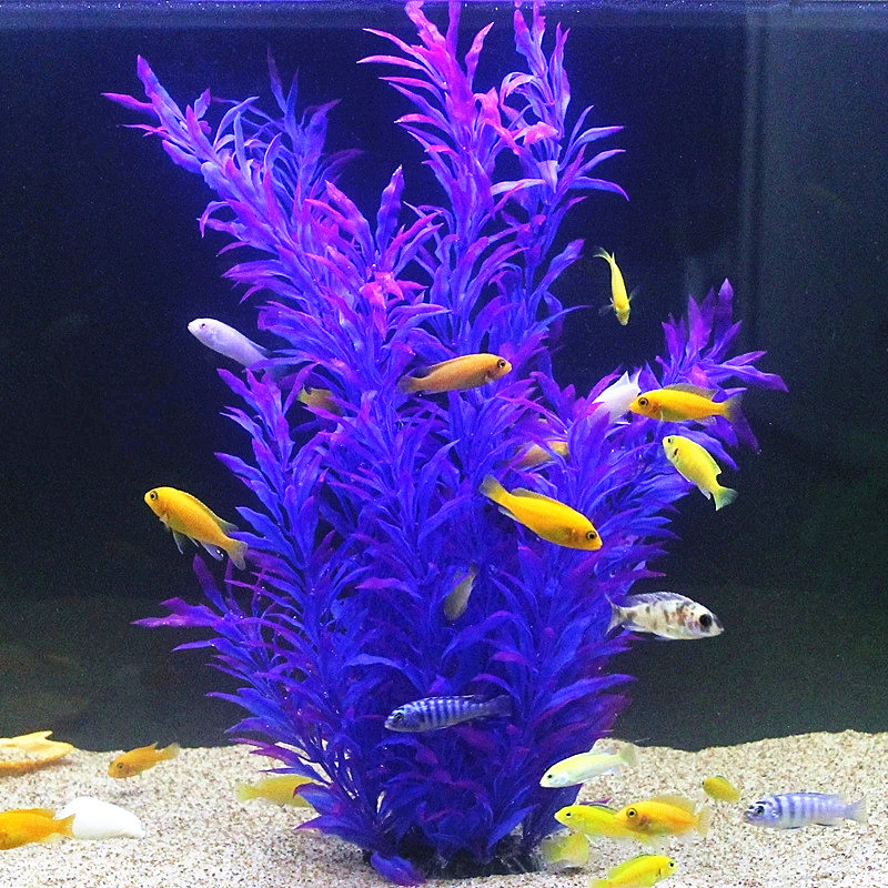 50CM Artificial Fish Tank Rare - Aquarium Marine Plants ulasan dan harga