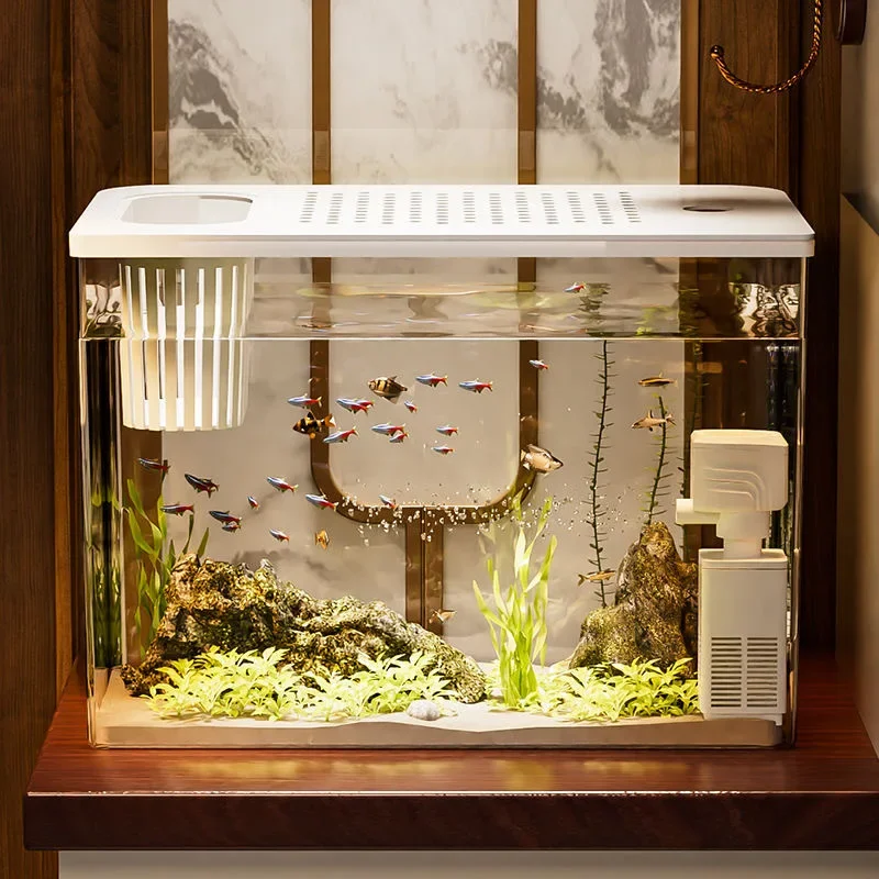 PET+ABS Fish Tank New Transpar - Marine Aquarium With Sump ulasan dan harga