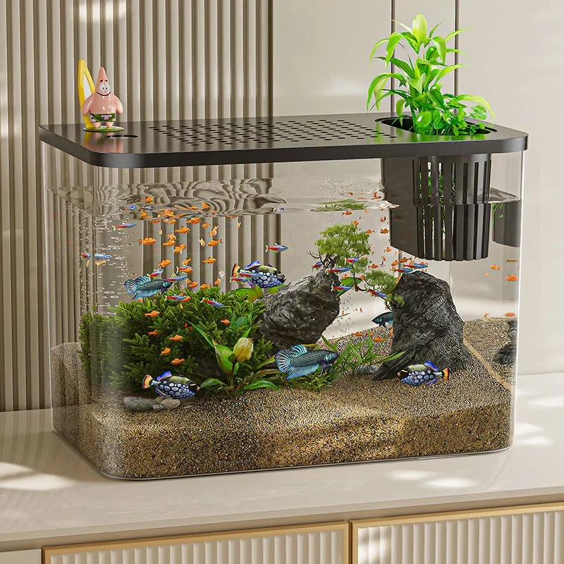 PET+ABS Fish Tank New Transpar - Marine Aquarium With Sump ulasan dan harga
