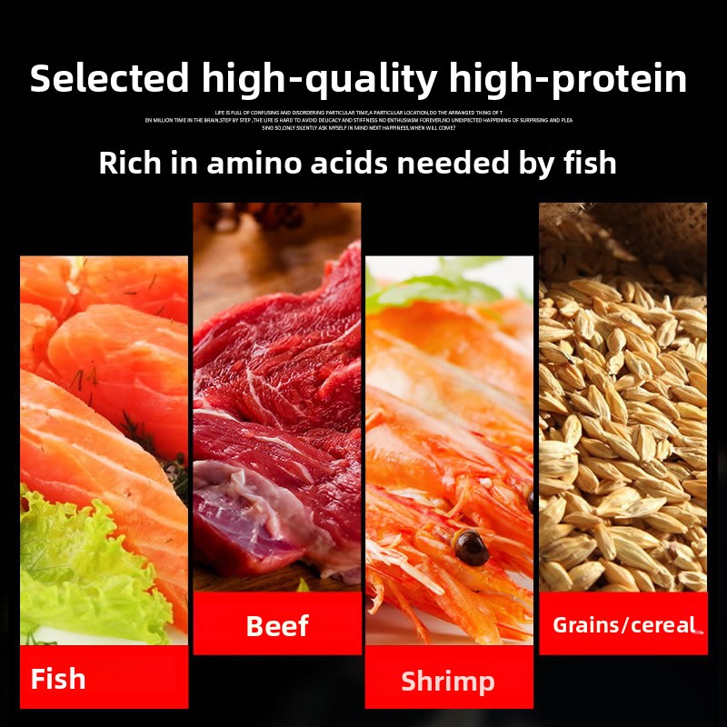 SUNSUN Koi Ornamental Fish Gol - Marine Aquarium Chiller ulasan dan harga